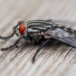 2001年第18期福利彩票开奖结果查询与回顾 06rve7