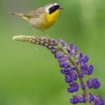 2004年排列三开奖历史全记录及详细数据分析 3j3vjt8