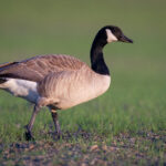 20027期足彩开奖结果揭晓,头奖花落谁家? 62f5b8a