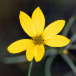 2005年大乐透开奖结果查询与历史数据回顾 fyery7