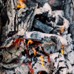 20005期历史开奖号码详细回顾与查询 i6phox1hq