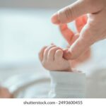 2006年全年彩票开奖记录完整回顾 j64iz3h5