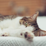 3d开奖号814前后关系及历史数据分析 nrx69gu