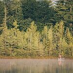 2005年经典彩票开奖回顾与历史时刻盘点 s4gi9