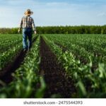 3D开奖号与试机号开奖结果查询及走势分析 v0fwthh1