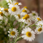 3d开奖号605历史前后关系与走势分析 v4ft4np3