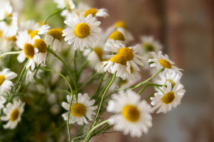 3d开奖号605历史前后关系与走势分析