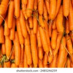 2005年体彩历史开奖结果查询与回顾 wny1d1