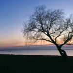 2005年七星彩全年开奖记录完整查询 xrps6w