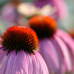 2004年双色球开奖号码完整历史回顾 y9huv